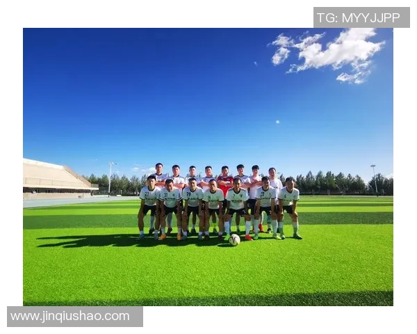 草原足球明星阵容全解析领略草原足球的魅力与风采